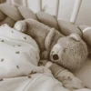 Baby Breathing Bear